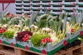 Erdbeeren, knackfrischen Kopf- und Blattsalaten, Kohlrabi, Spargel, Rhabarber etc.